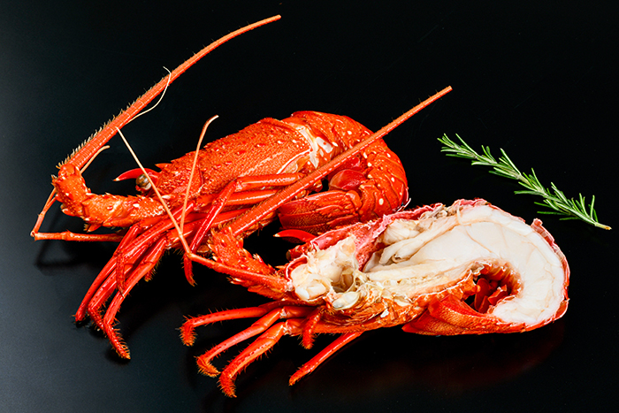 豪州産 活〆ボイルロブスター ハーフカット | 業務用食材通販｜飲食店