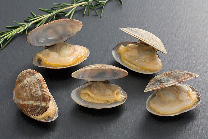 あさりページ 殻付きアサリ 2L（ボイル）